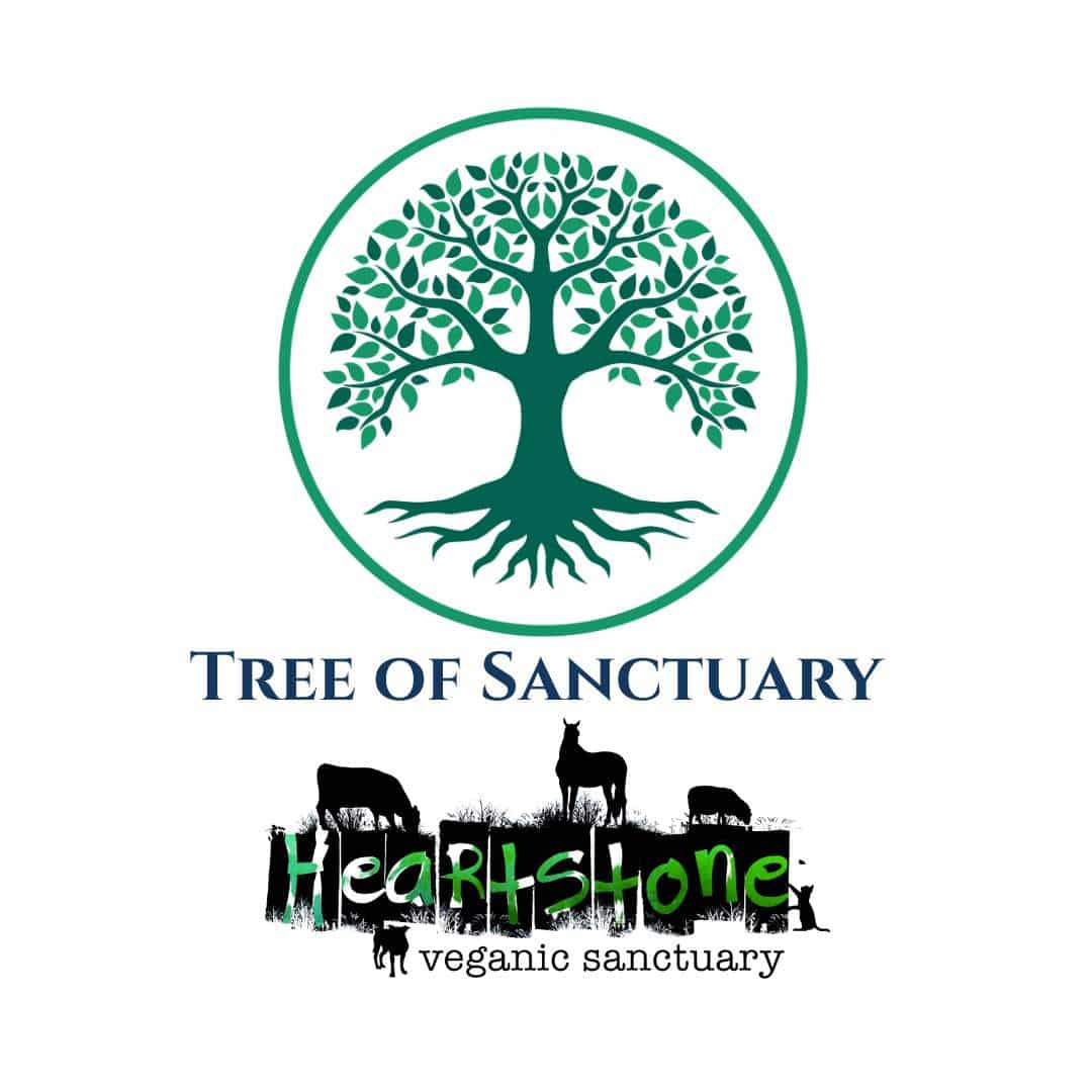 Heartstone Sanctuary tree logo on whitebackground with animals profiles in black and a tree of life logo for irish trees