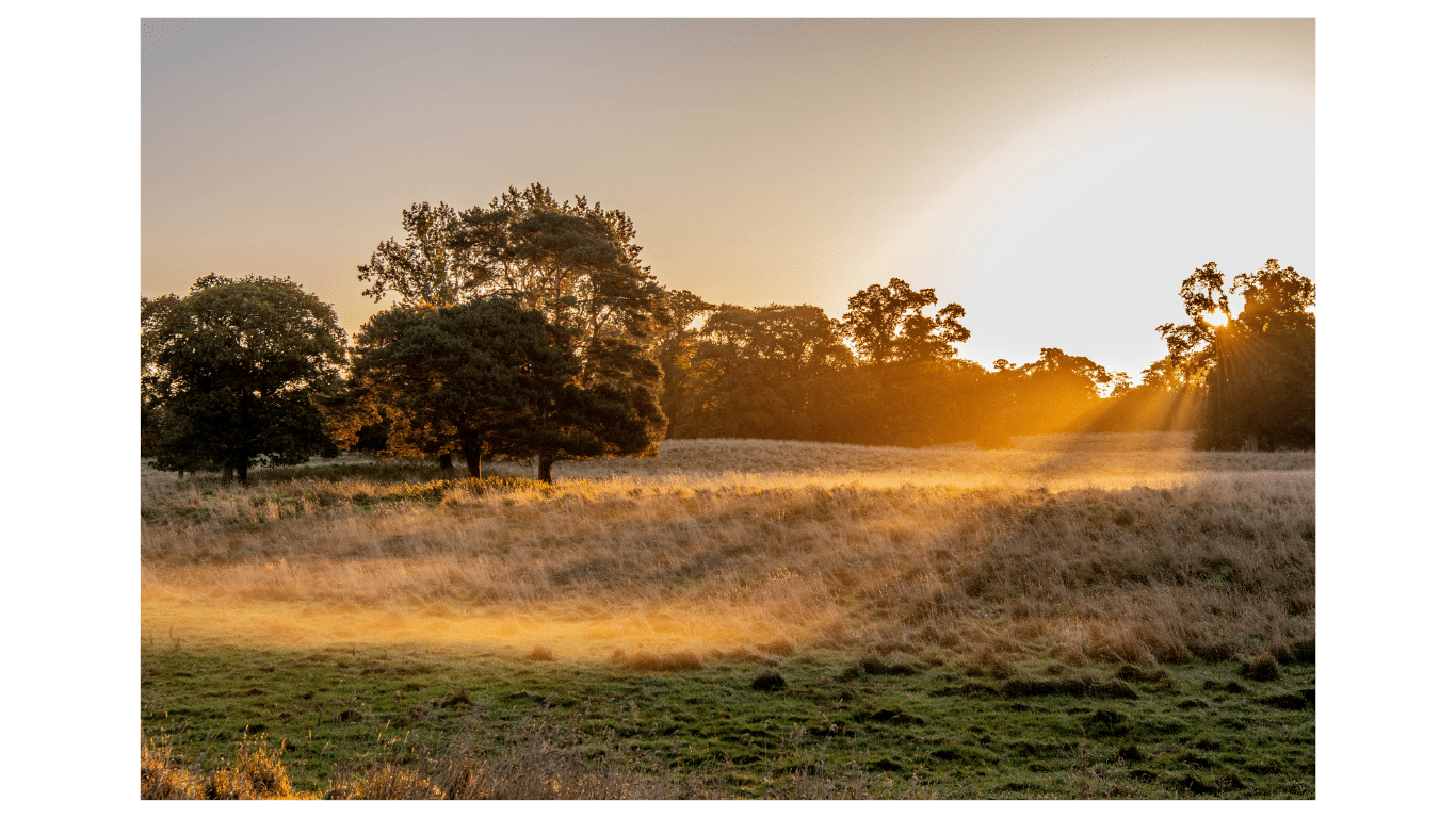 sunrise over a meadow in dunsany